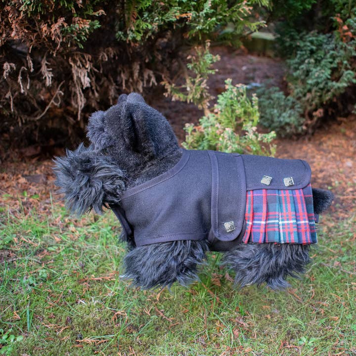 Strathmore Woollen Co - Wholesale Pet Costume - Dog - Doggie Kilt6