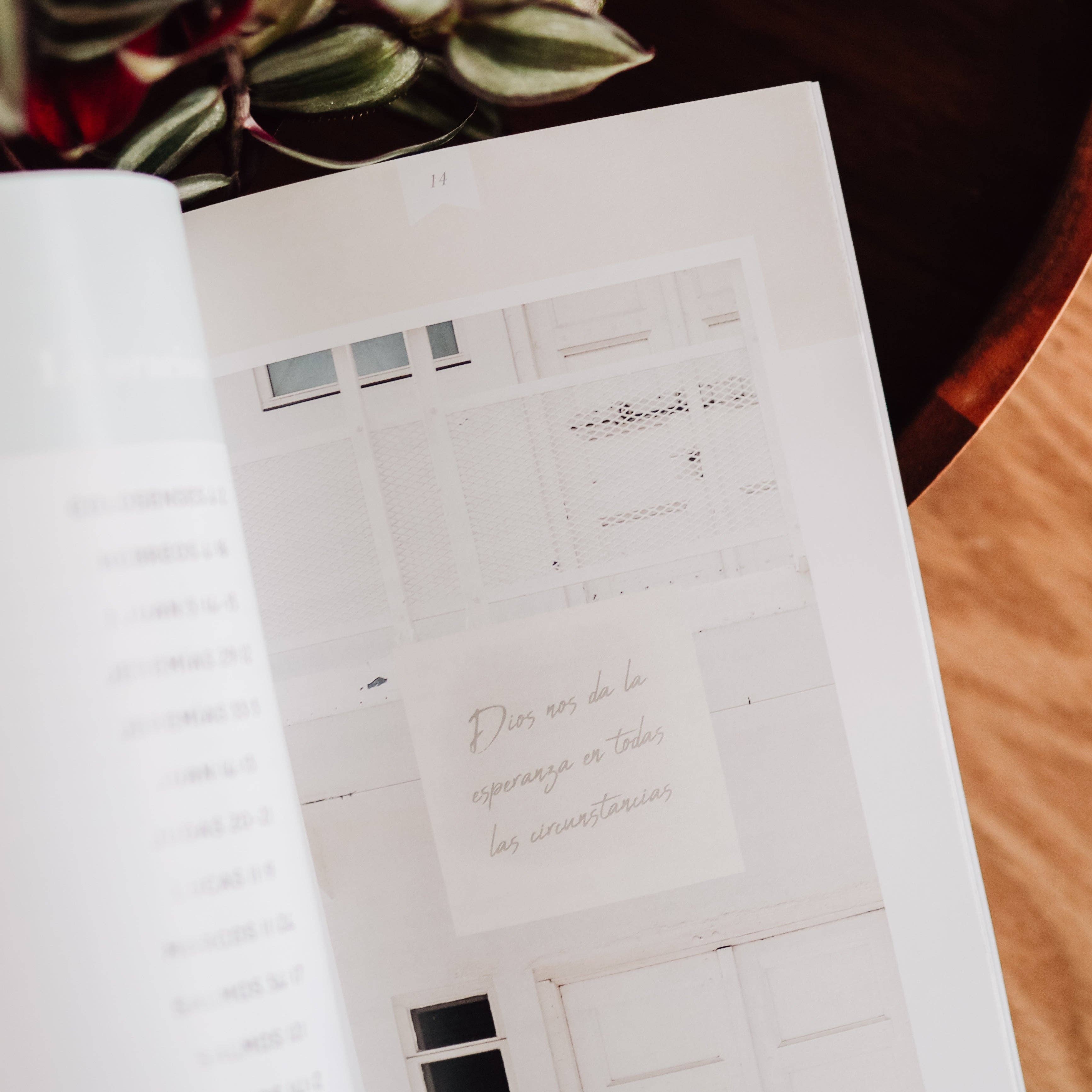 The Daily Grace Co - Wholesale Religion - La Verdad Diaria | Daily Truth - Spanish Edition3