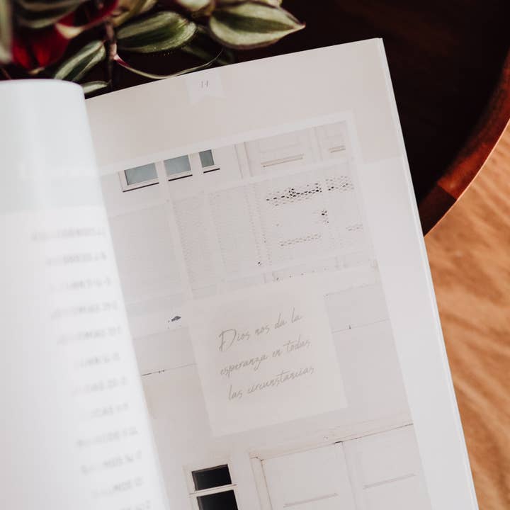 The Daily Grace Co - Wholesale Religion - La Verdad Diaria | Daily Truth - Spanish Edition3