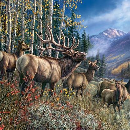 0524 Elk Anthem 1000 pc Puzzle for wholesale by SunsOut