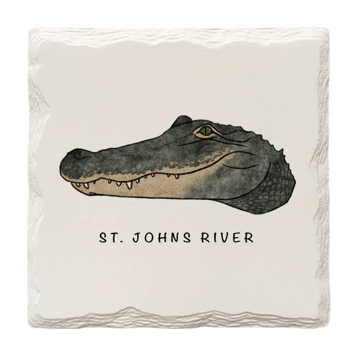 Customizable Alligator | Hand-Drawn | Drink Coaster for wholesale by The Doodle Brand