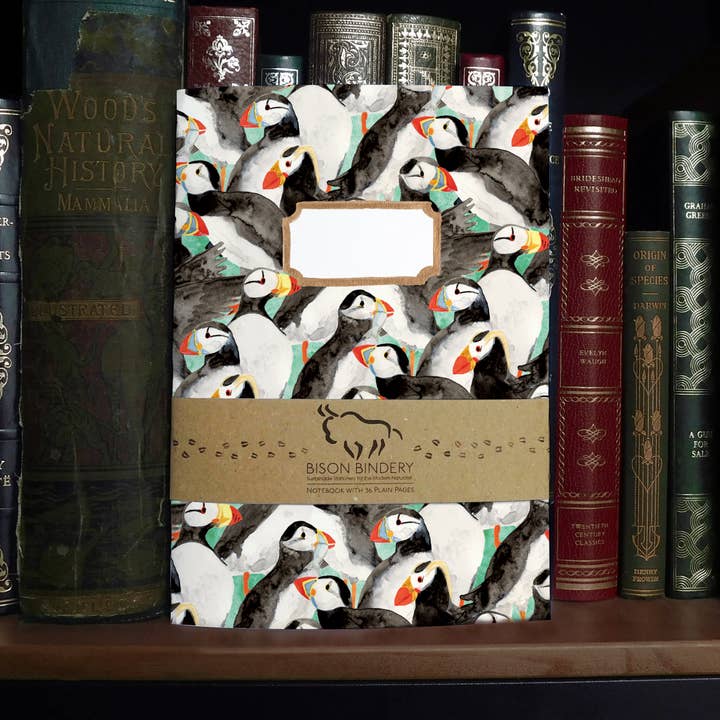 Usandsynlighed af Lunder A5 Genbrugspapir Notesbog - 36 Ulinjerede Sider for engroshandel hos Bison Bindery