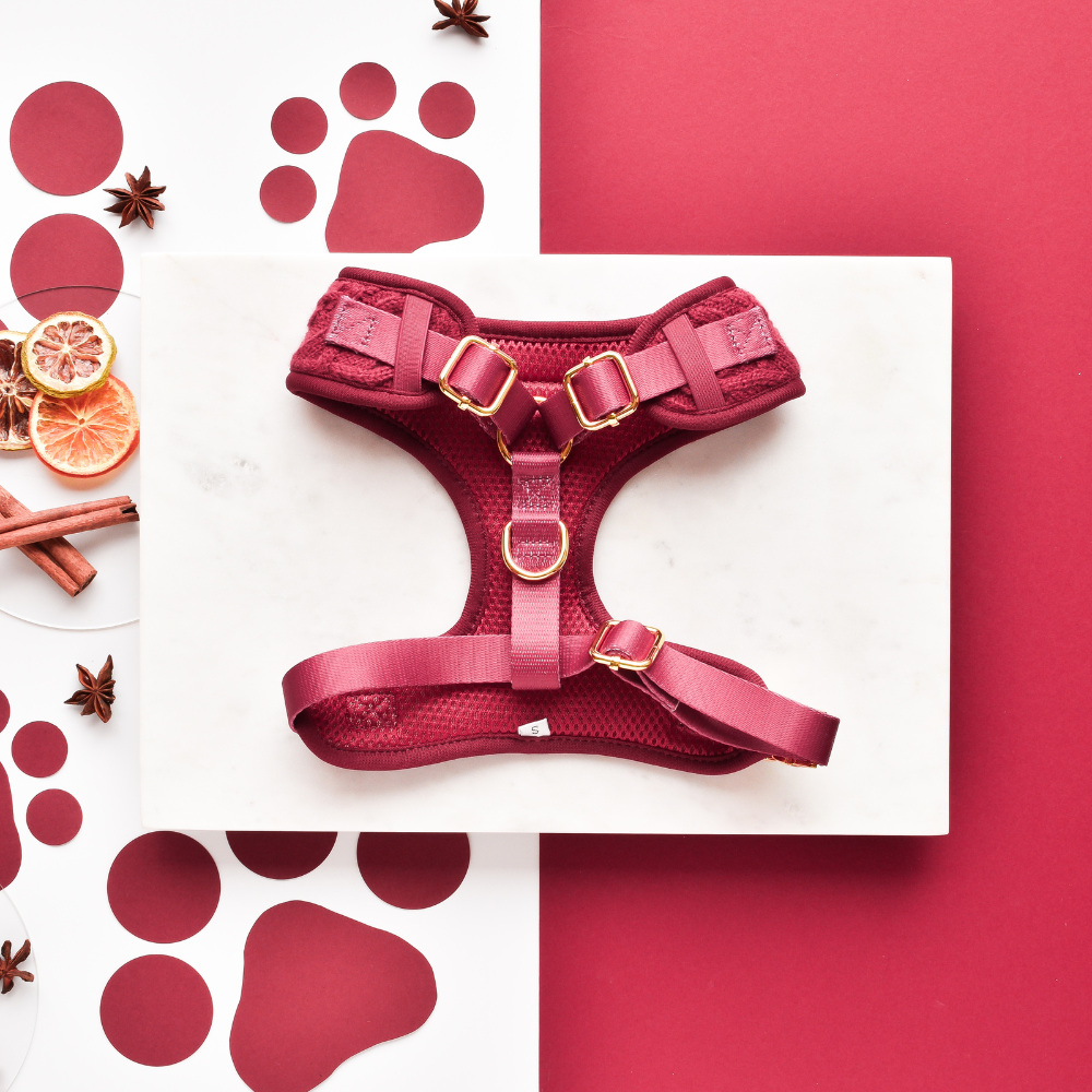 Cocopup London - Wholesale Pet Harness - Dog - Cable Knit Jumper Adjustable Neck HARNESS - Mulled Pup Wine1