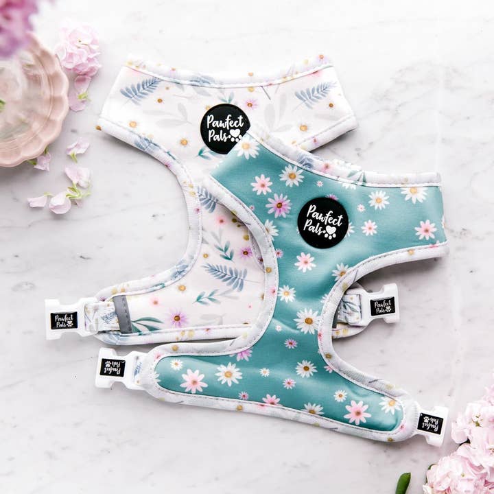 Daisy Baby - Reversible Dog Harness Pawfect Pals | Daniels P for wholesale by Daniel’s Pet Emporium