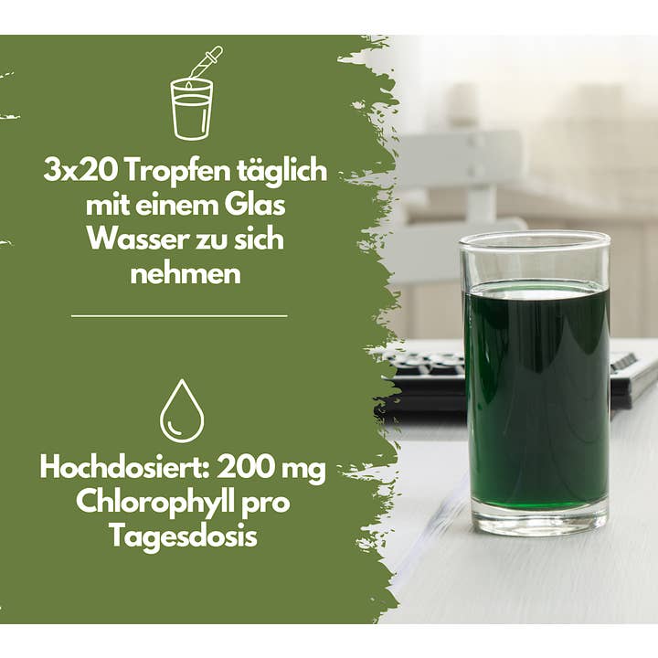 EXVital - Wholesale Oral Supplement/Vitamin - Liquid chlorophyll from alfalfa - high dose1