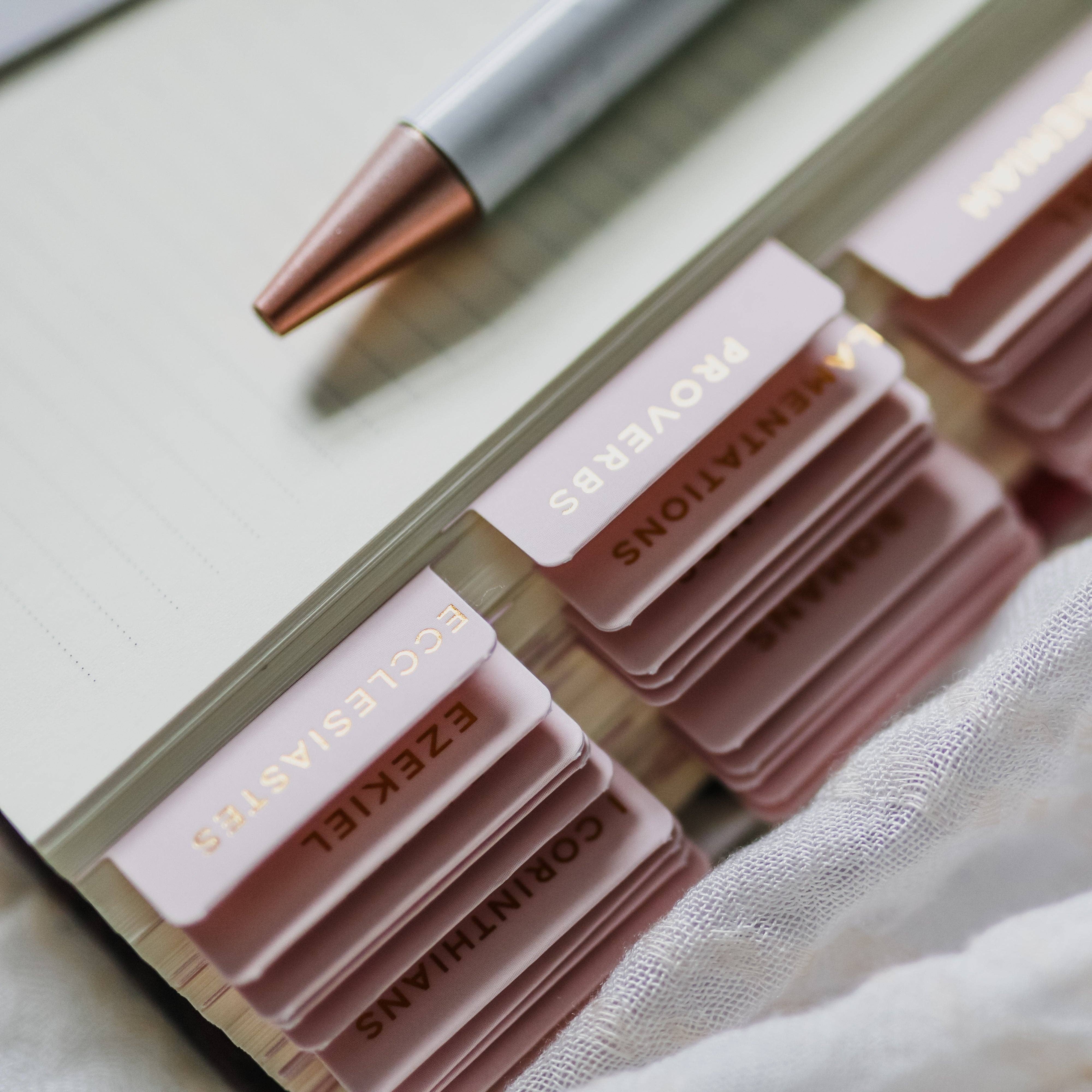 The Daily Grace Co - Wholesale Sticker - Blush Bible Tabs6