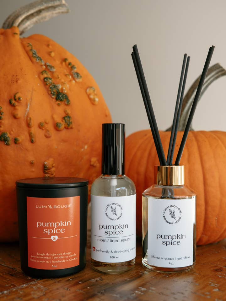 Pet Friendly Coconut Soy Wax Candle Pumpkin SpiceĀ for wholesale by Lumi Bougie