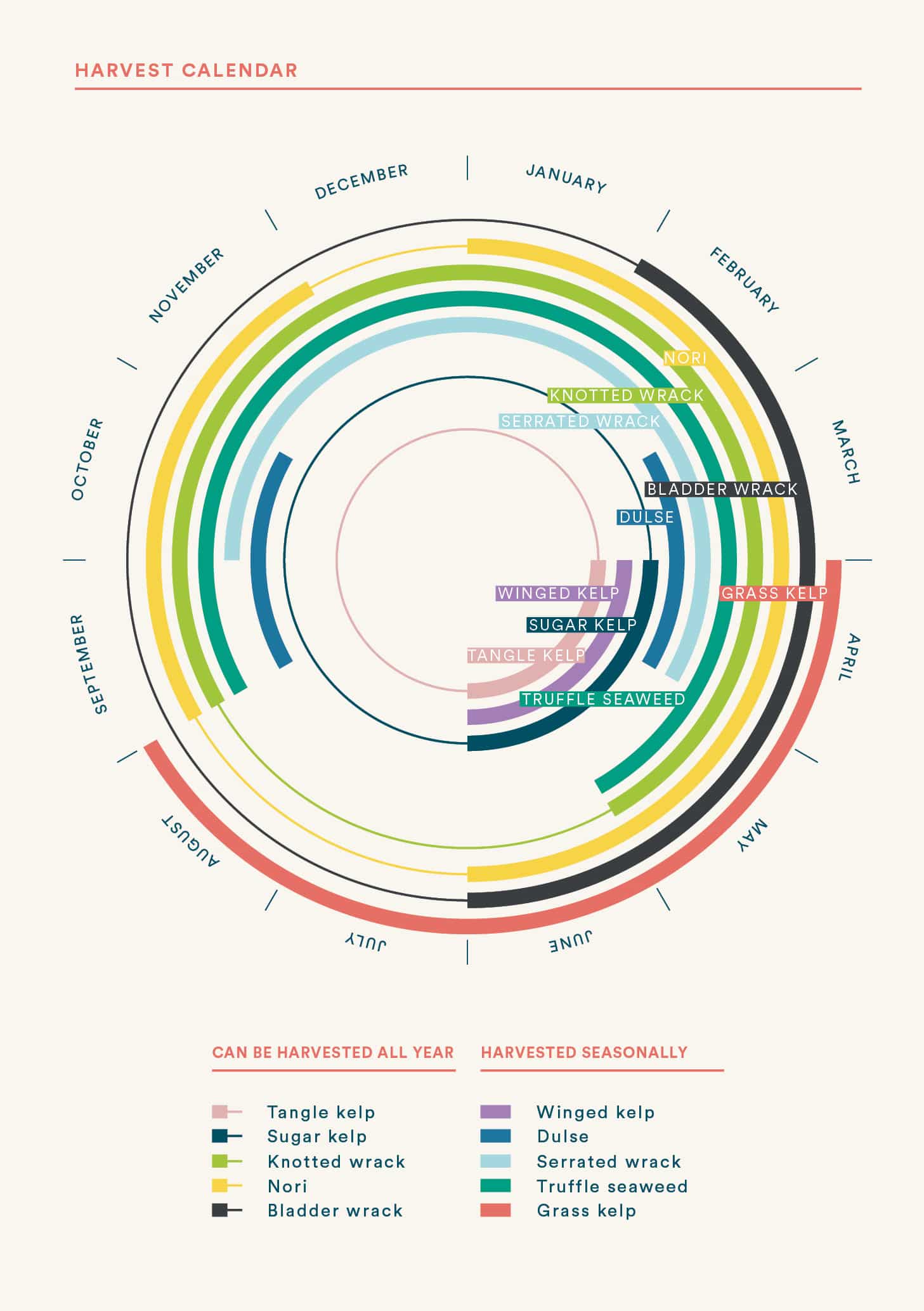 Lofoten Seaweed - Wholesale Book – Adult - Pick Your Own Seaweed – A Foragers Guide3