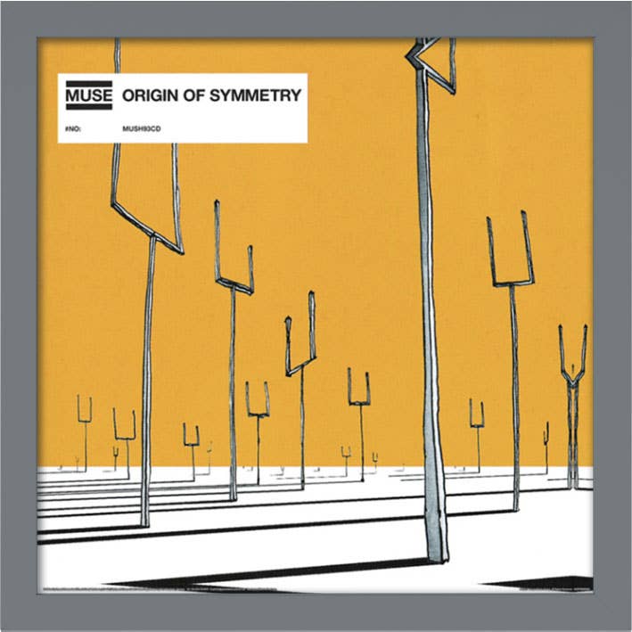 The Art Group - Vendita all'ingrosso Stampa artistica - Copertina dell'album Muse (Origin of Symmetry)