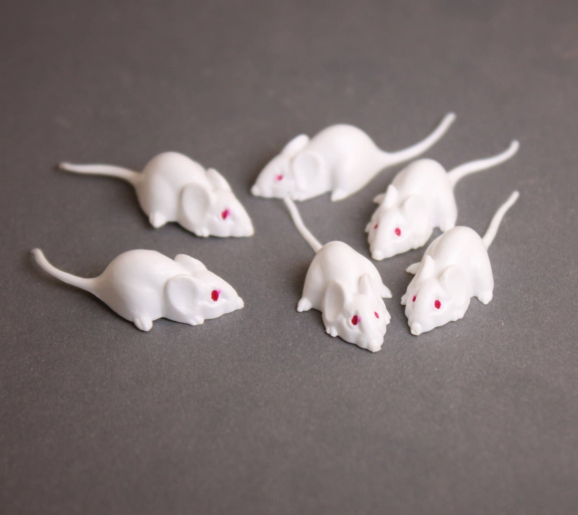 Mice - White Mouse Set - Red Eyes - 1" - 6 Pieces for wholesale on Faire6