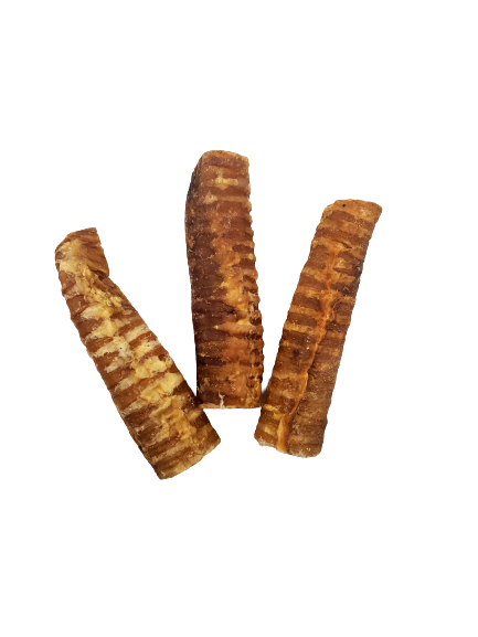 Dibo Pet Foods - Wholesale Pet Treats - Dog - Beef Trachea – 6″4