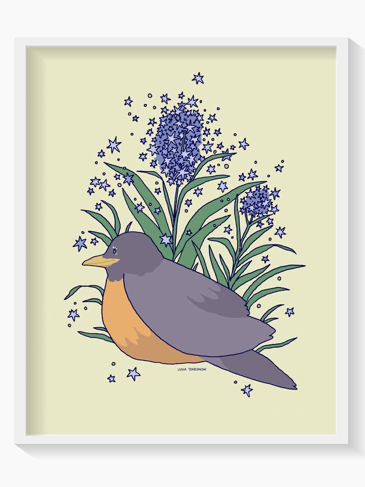 American Robin and Amsonia Bluestar Flowers - 8x10" Print for wholesale by Lydia Tonkonow Art and Design LLC