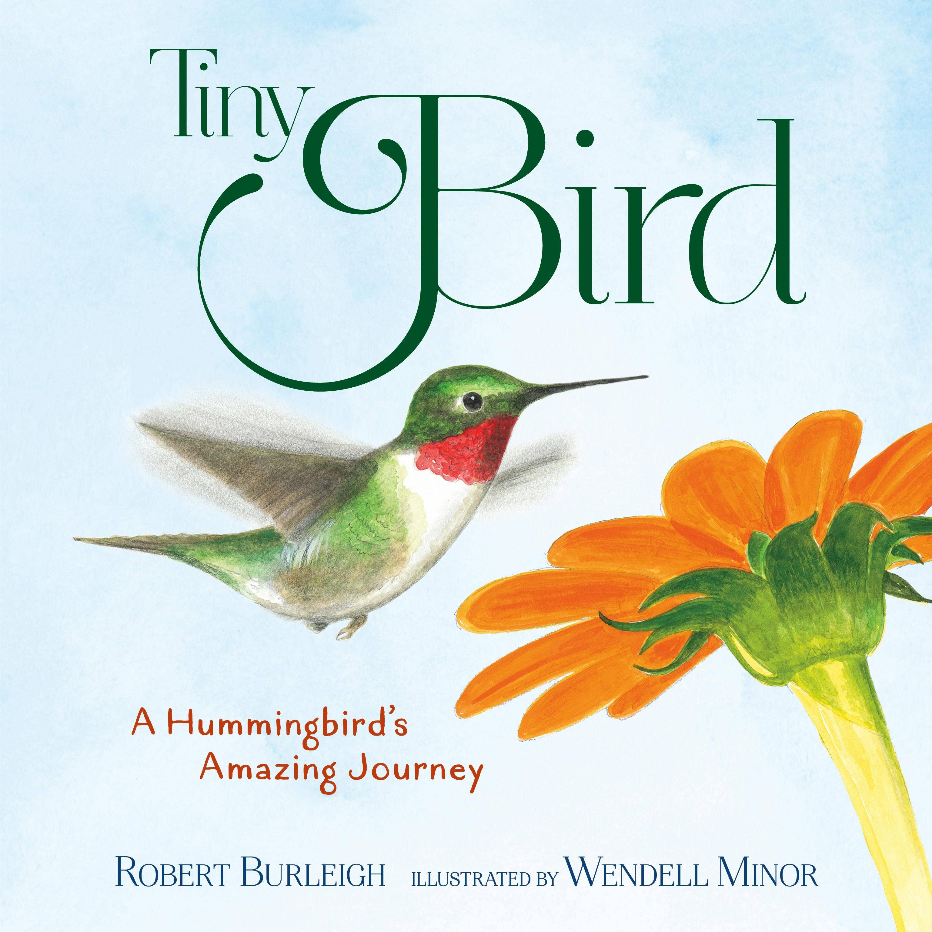 Macmillan Publishers - Wholesale Nature & Outdoors - Tiny Bird: A Hummingbird's Amazing Journey0