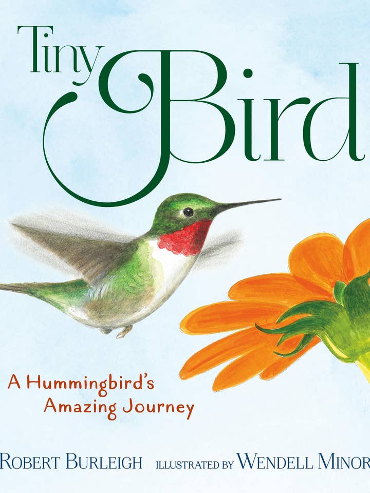 Tiny Bird: A Hummingbird's Amazing Journey for wholesale by Macmillan Publishers