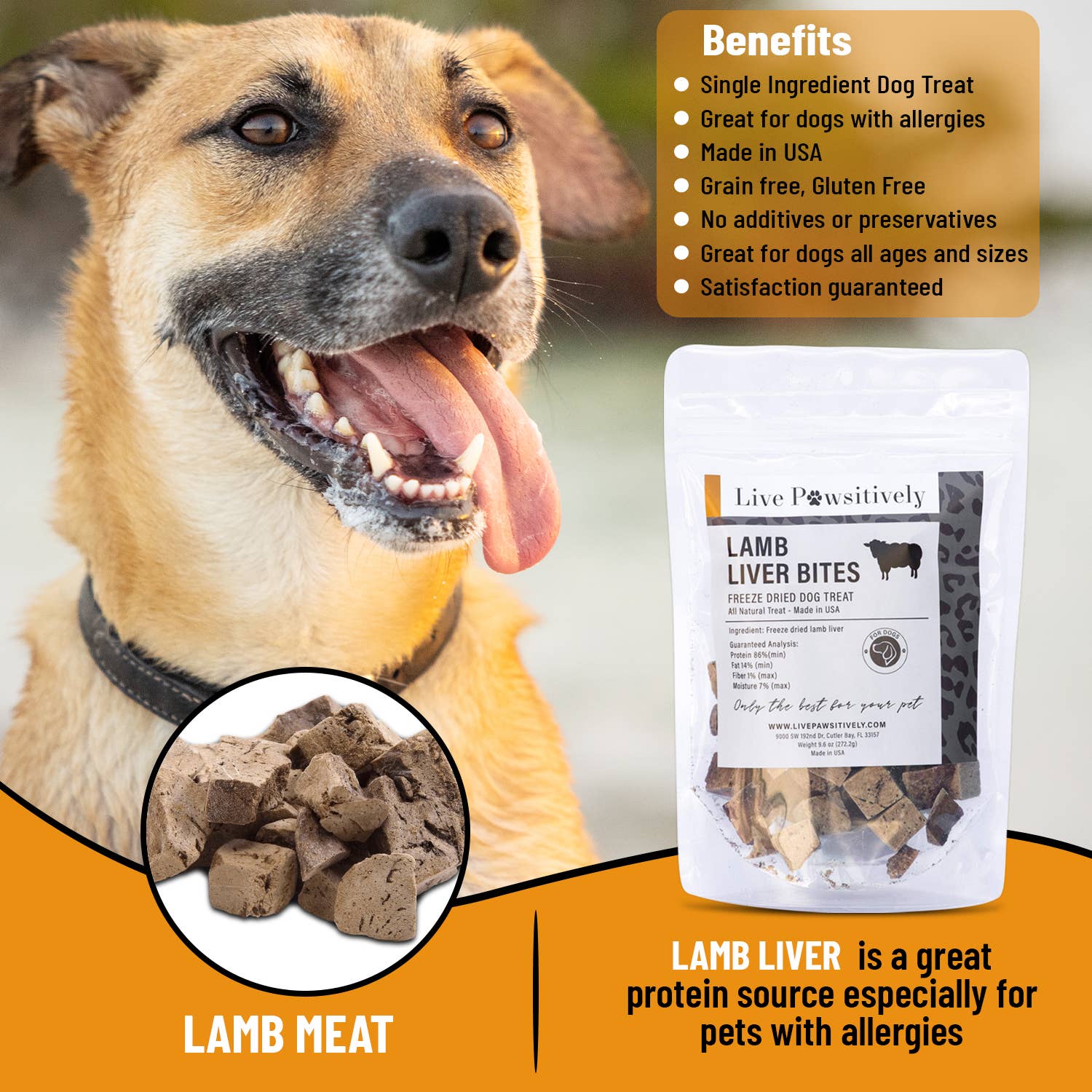 Live Pawsitive - Wholesale Pet Treats - Dog - Lamb Liver Bites2