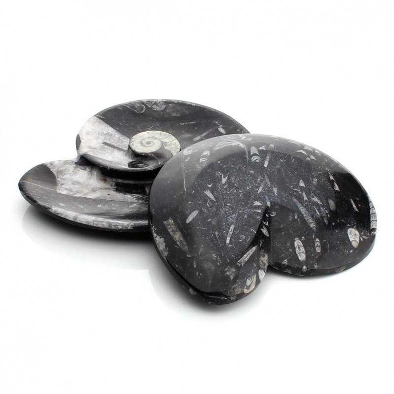 UniArt - Vente Objets de décoration - Assiettes décoratives avec ammonites et orthoceras authentiques3