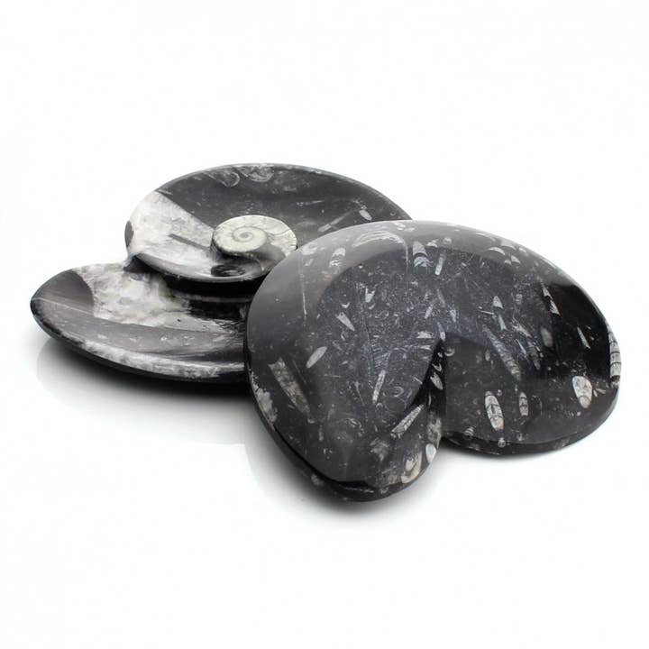 UniArt - Wholesale Ornament - Plates with ammonites and orthoceras12