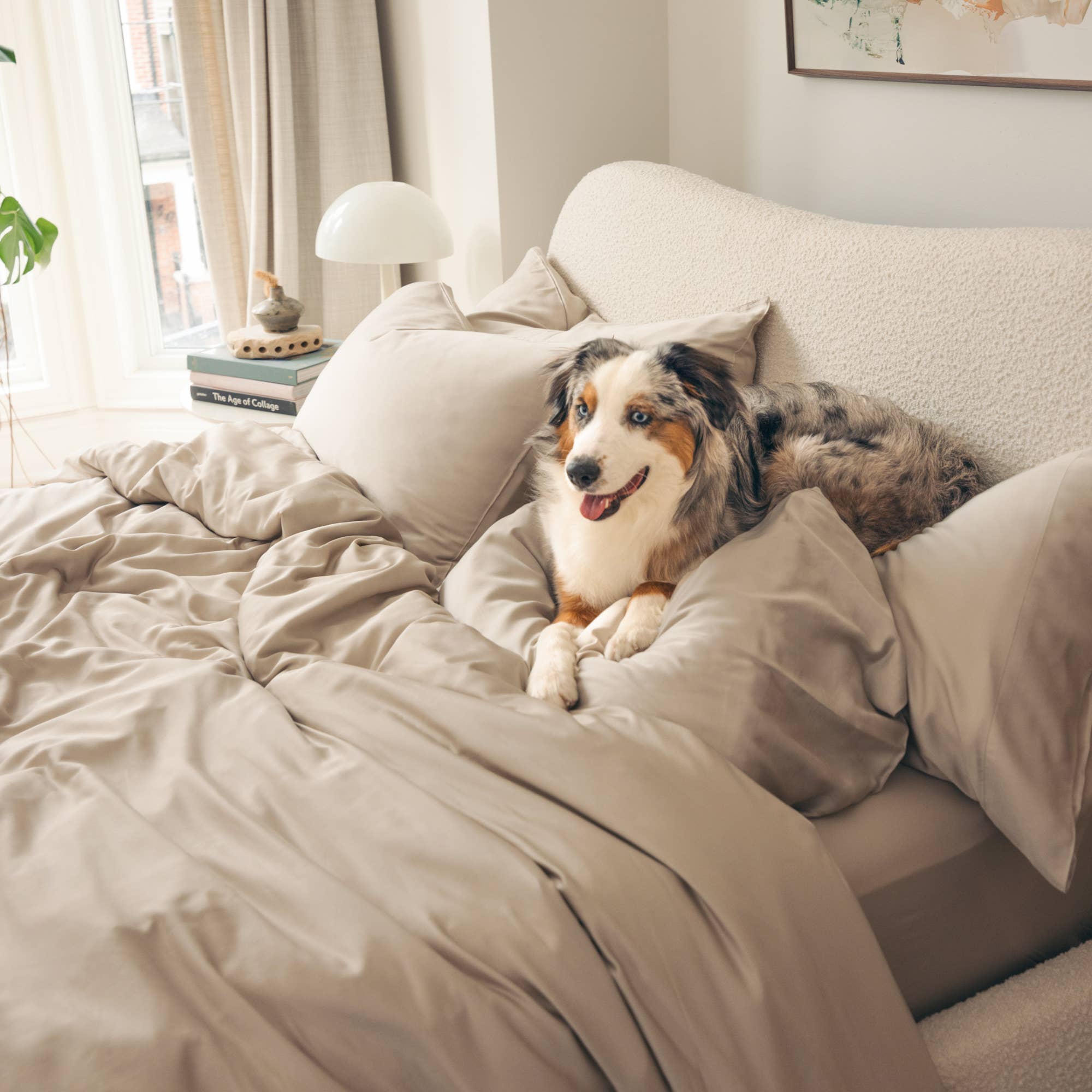 Aeptom - Wholesale Sheet Set - Organic Bamboo Sateen Bed Sheet Set29