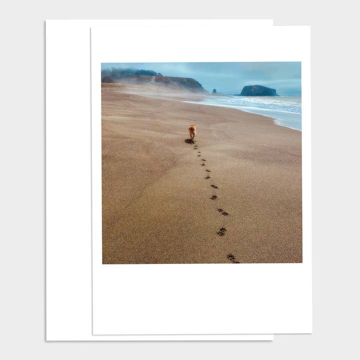 Dog Beach Pawprints Sympathy Card for wholesale by Palm Press