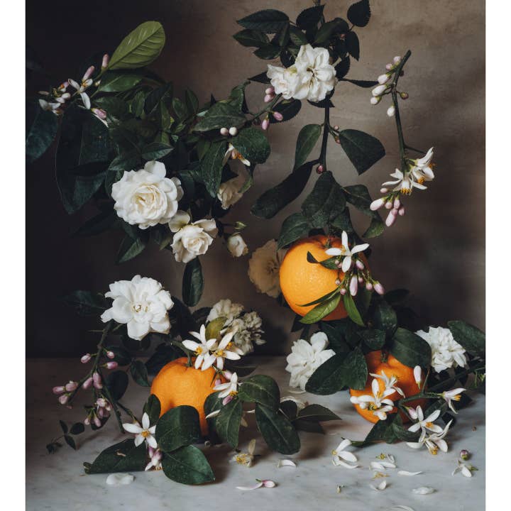 Jamie Beck - Wholesale Jar/Filled Candle - French Citrus Scented Candle • Jardin de l'Orangerie8