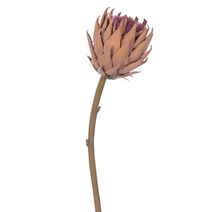 Vickerman 25" Light Orange Protea Stem 2/Bag for wholesale by Vickerman