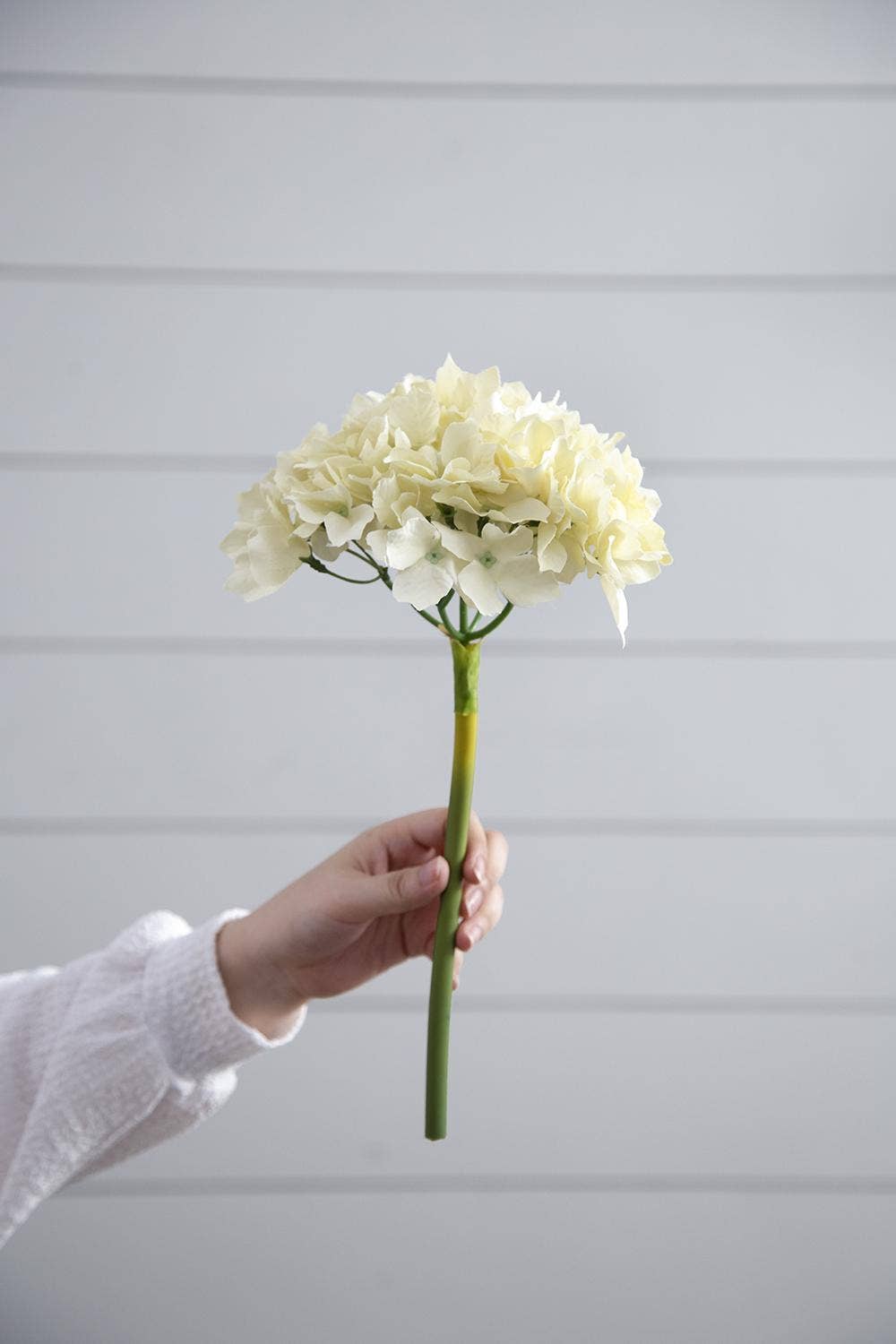 A&B Home Group Inc. - Wholesale Artificial Flowers - Almost Real 14" Hydrangea - Cream2