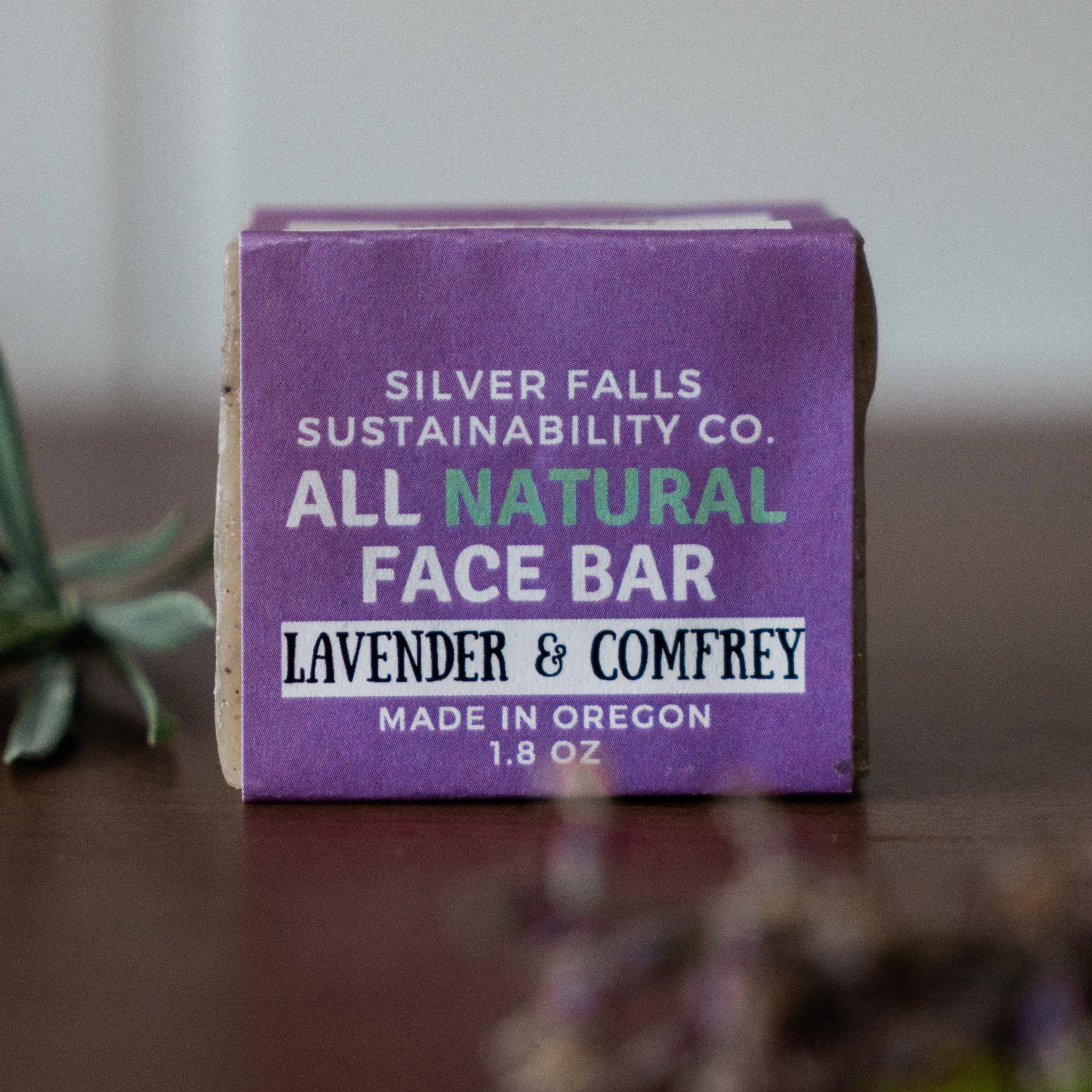 Silver Falls Sustainability Co. - Wholesale Bar Soap - Activated Charcoal and Mint Face Bar Soap1