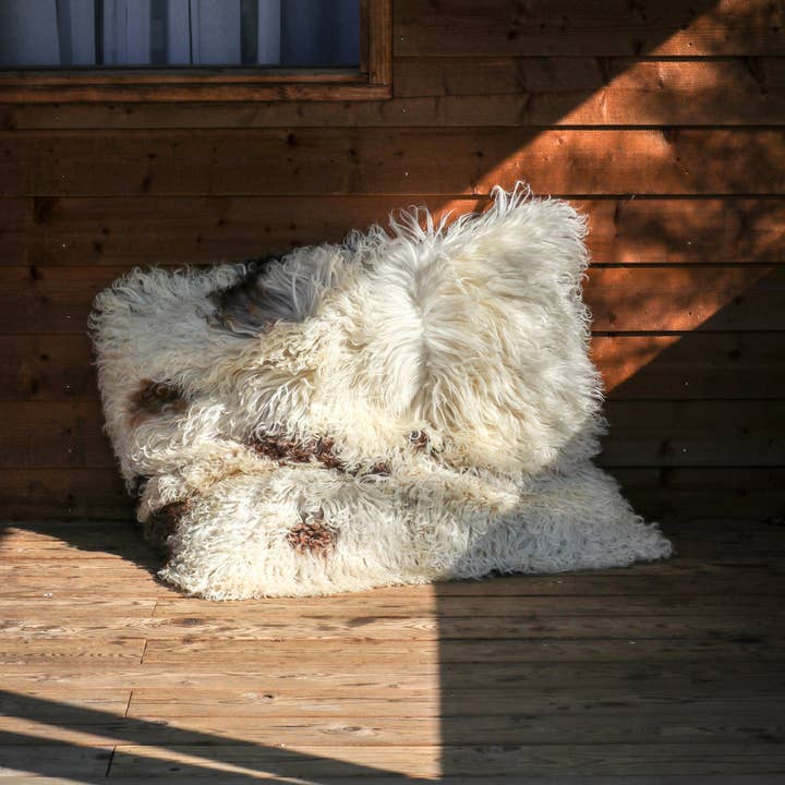 Van Buren – wholesale Throw/decorative pillow – Sheepskin cushion - 80x80cm - Curly fleece2