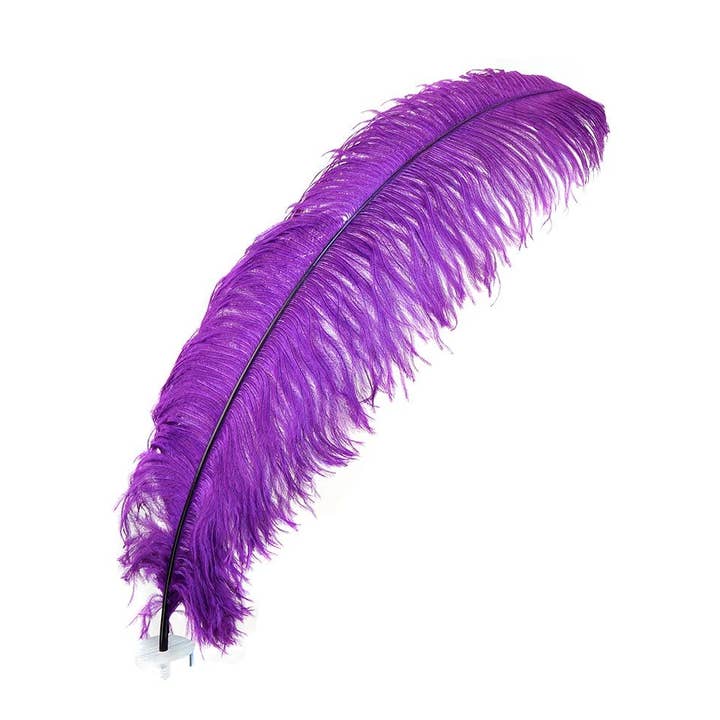 Large Ostrich Feathers - 24-30" Prime Femina Plumes - Purple for wholesale by Zucker Feather Products
