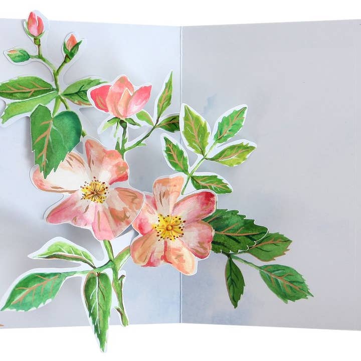 Pack de graines UWP Luxe Pure Alchemy pour la vente par Popshots Studios