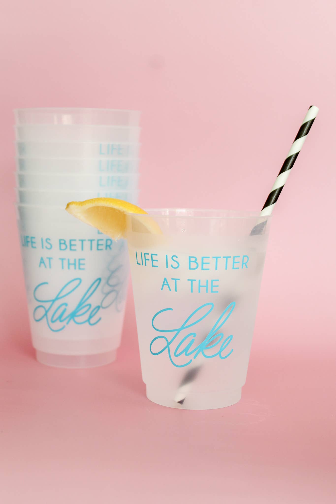 Birdie Mae Designs - Wholesale Disposable Cup - Life is Better At The Lake | Frosted Acrylic 16oz Set of 87