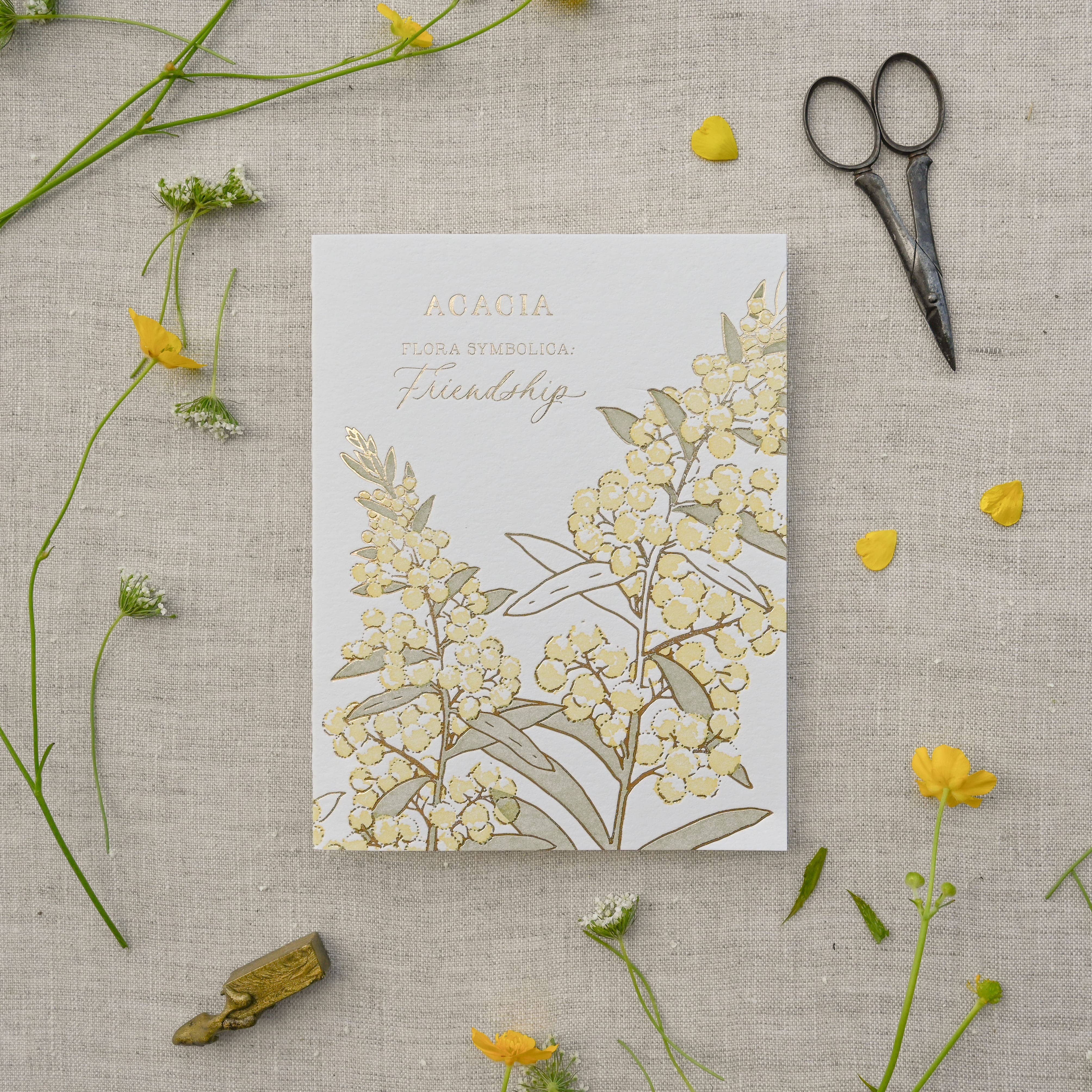 Ciarra Claire - Wholesale Friendship Card - Acacia | Language of Flowers Greeting Card2