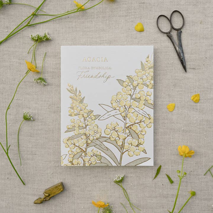 Ciarra Claire - Wholesale Friendship Card - Acacia | Language of Flowers Greeting Card2