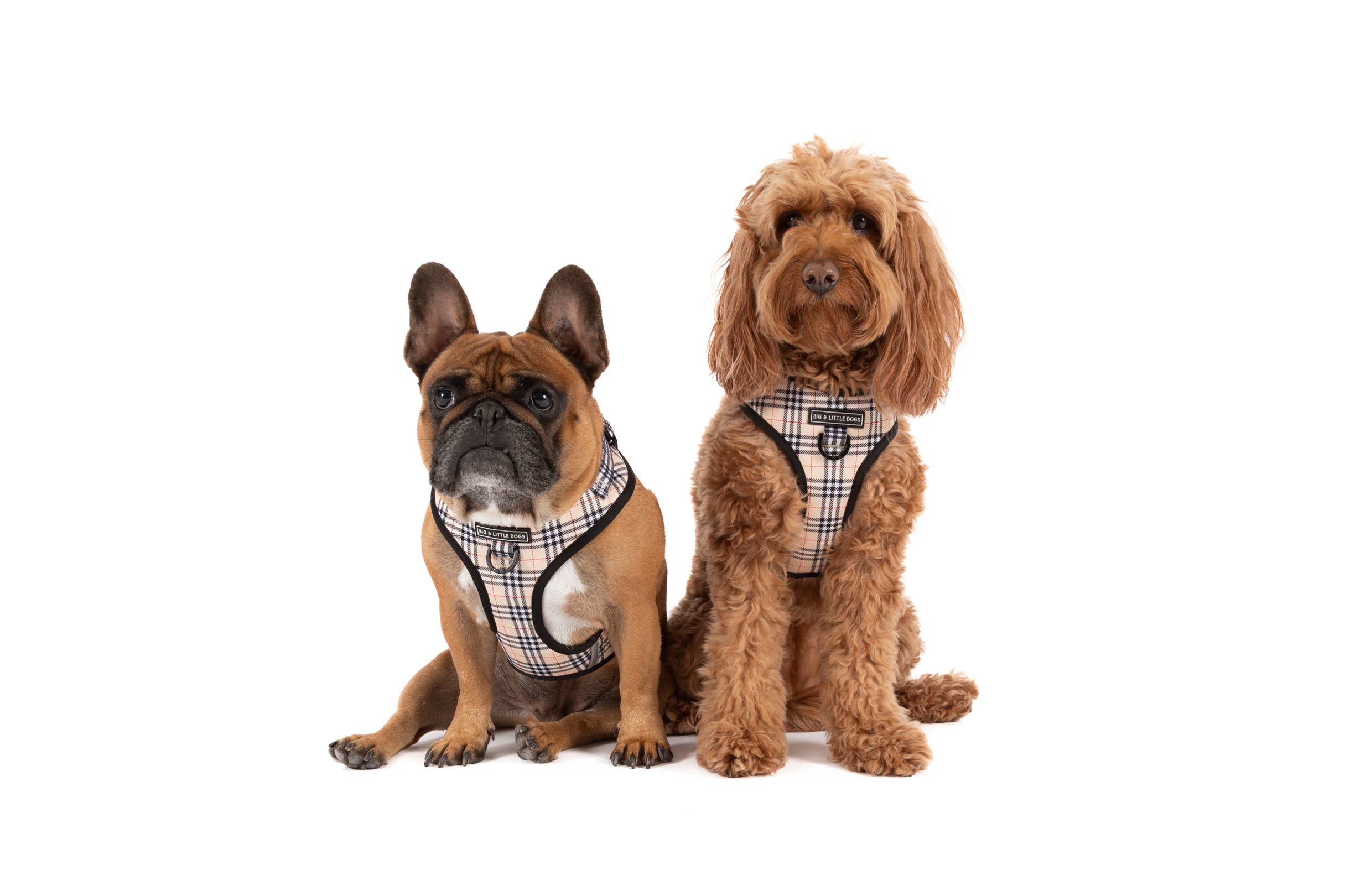 Big and Little Dogs - Vendita all'ingrosso Pettorina - Cani - Pettorina regolabile per cani Nova Plaid6