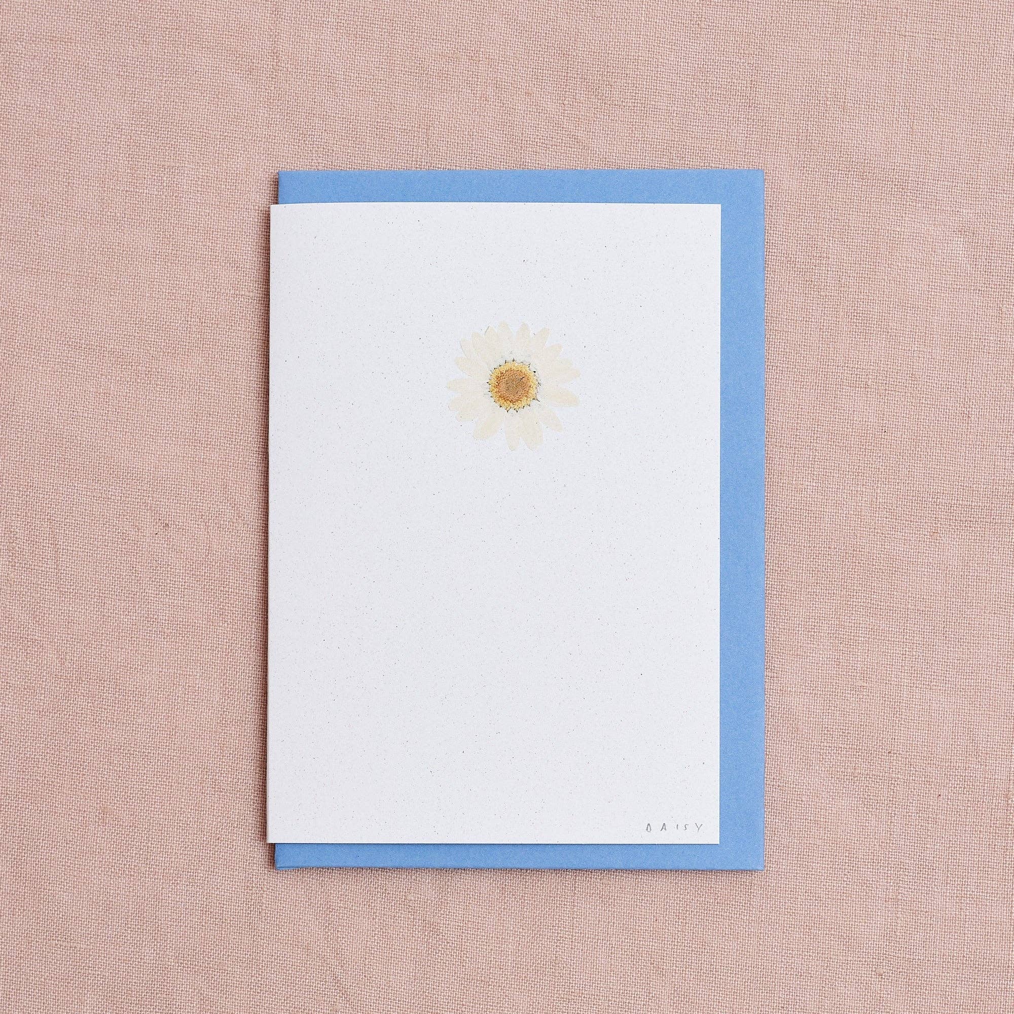 Botanique Workshop - Wholesale Everyday Greeting Card - Real Pressed Flower Greetings Card : White Daisy0