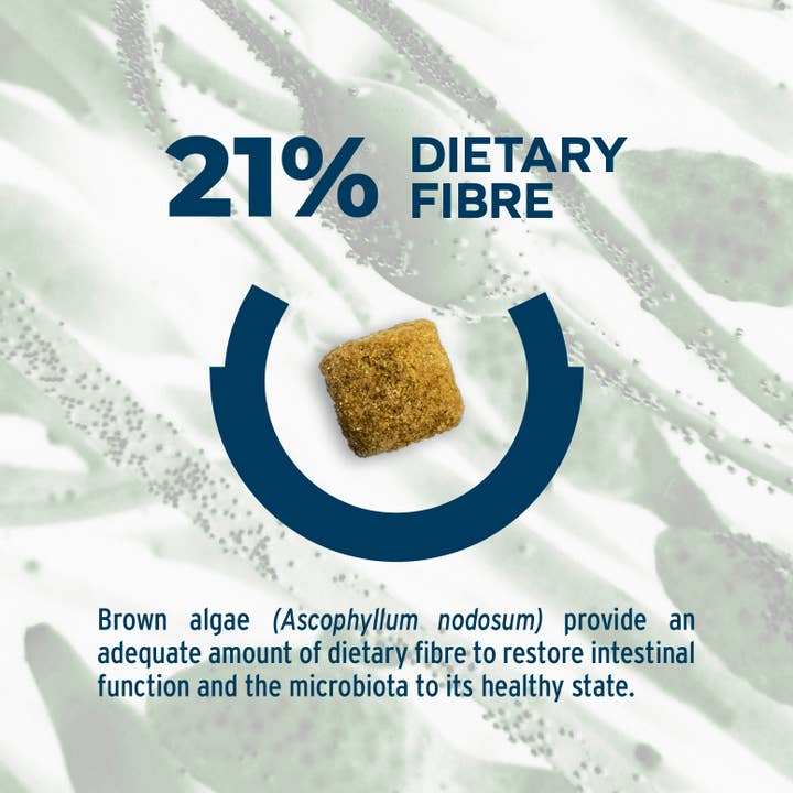 Forza10 Pet Food - Wholesale Pet Food - Dog - Forza10 Nutraceutic Active Colon Diet Phase 1 Dry Dog3