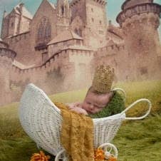 Pano de fundo de fotografia de vinil de 7 pés x 6 pés/Castelo da Primavera por atacado de Swanky Prints