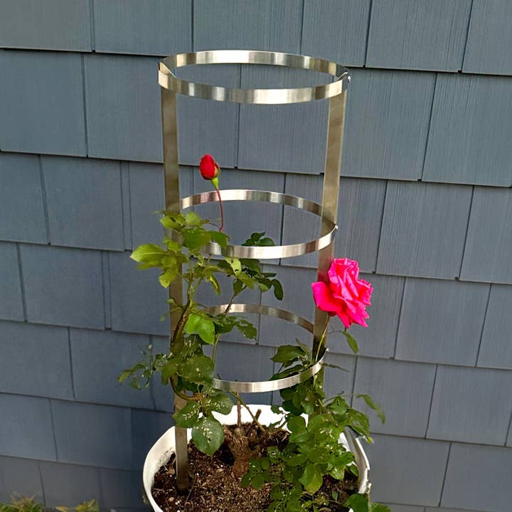 Garden Plant Trellis - Brushed Grade 304 Stainless Steel 10in Diameter, 36in High 3-Hoop Ring Cylindrical Climbing Support Structure for wholesale by Epic QT