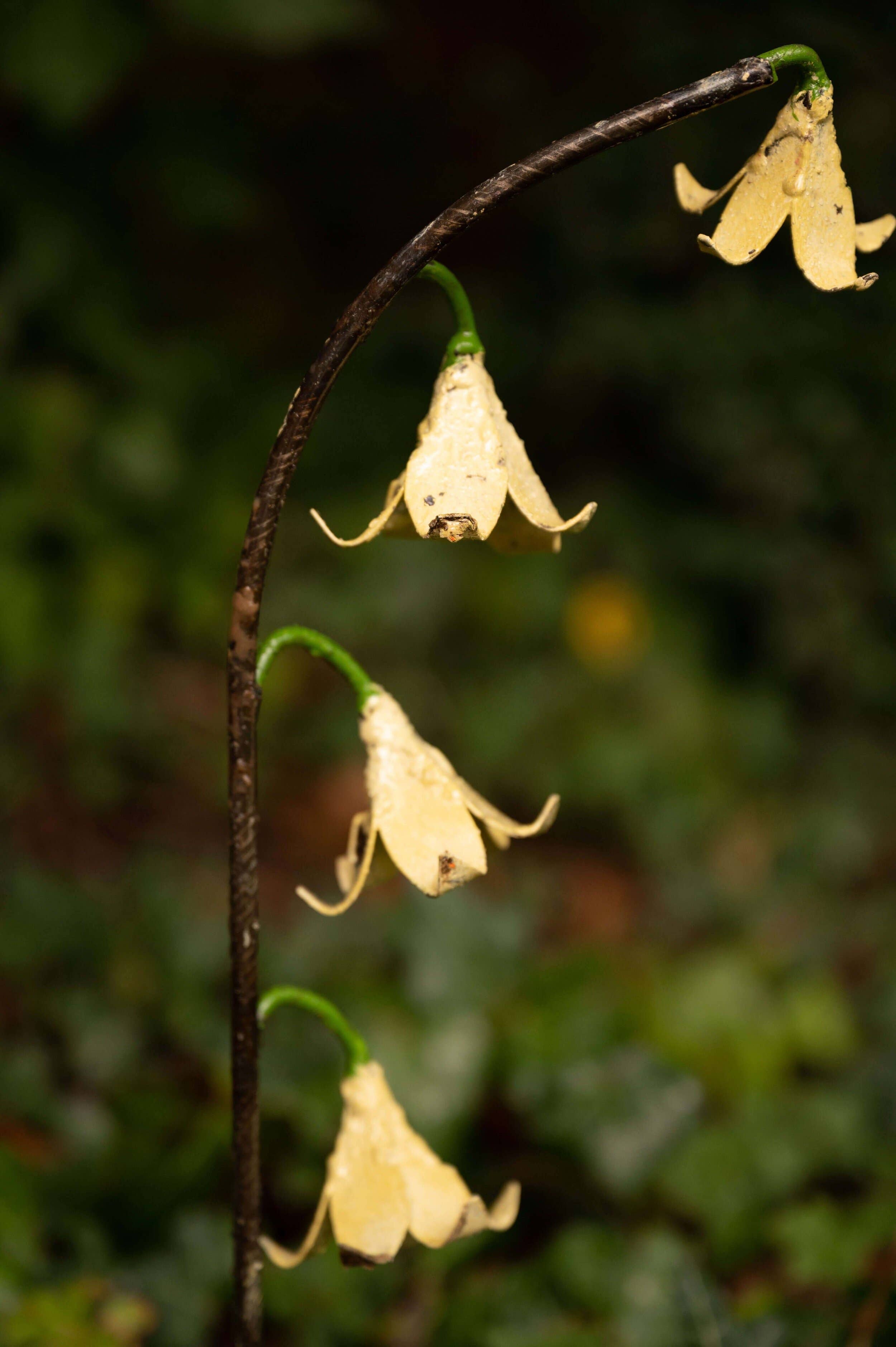 chi-africa - Wholesale Outdoor Ornament/Decor - Recycled Metal Garden Artwork - Lily Of The Valley1