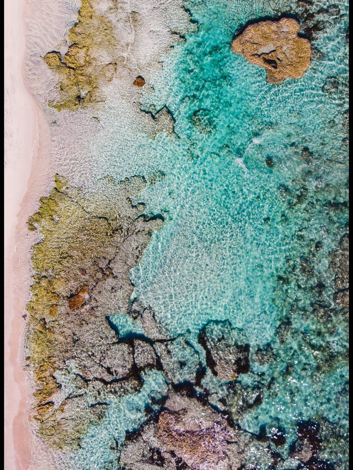 Kalbarri Dog Towel for wholesale by Will and Wind - Beach Towels & Accessories