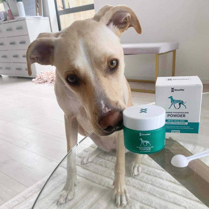 Kōrure Pets - Wholesale Pet supplement – Dog - Dog NZ Green Lipped Mussel Powder