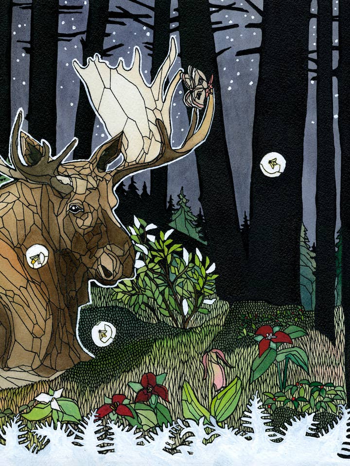 Carte Bull Moose pour la vente par Mattie Rose Art