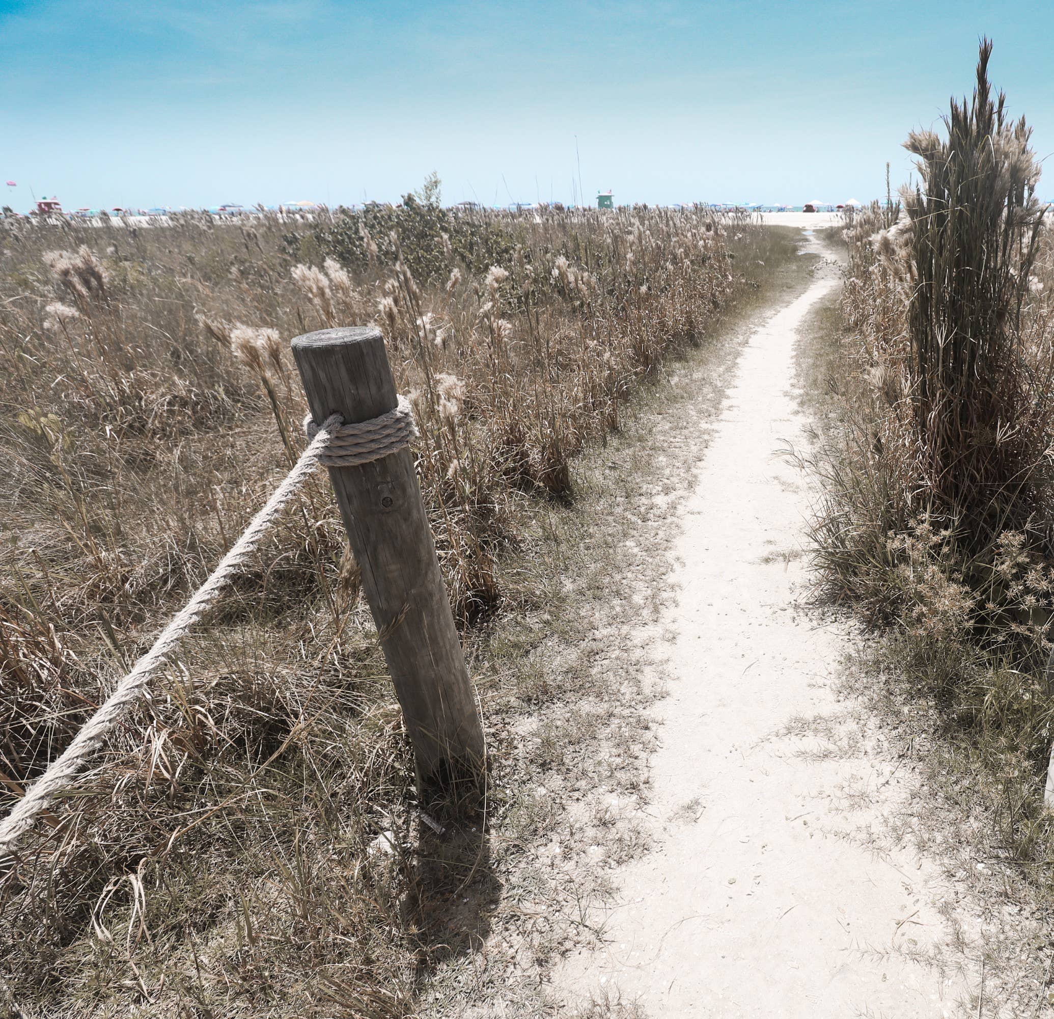 Casa Sanctum - Wholesale Jar/Filled Candle - Siesta Key2