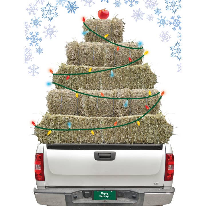 Horse Hollow Press | Pretty Snarky Equestrian Cards|Stickers - Wholesale Christmas Card - Horse Christmas Card / Truck Snow / Holiday Greeting Card
5