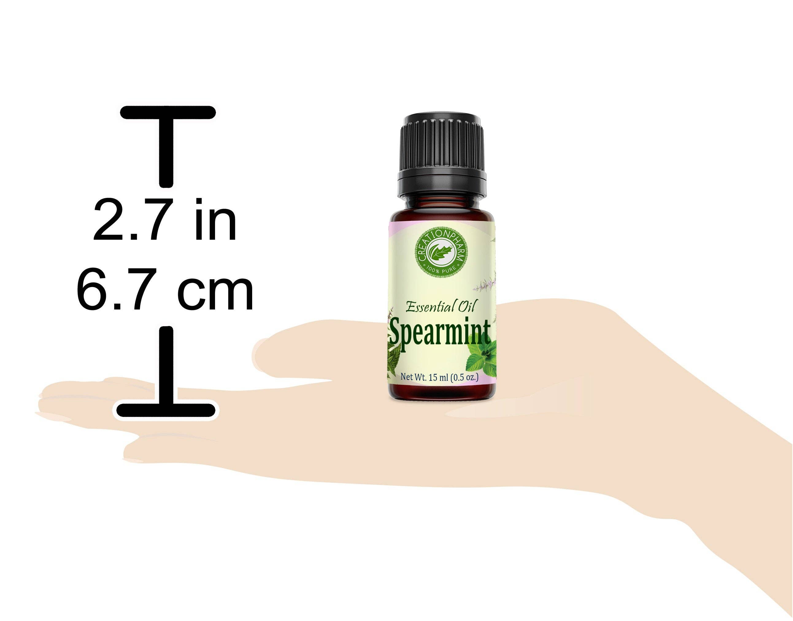 Creation Farm Inc – Großhandel Ätherisches Öl – Spearmint ätherisches Öl 100 Prozent reines Mentha Spicata dampfdestillierte Blätter und Stängel Creation Pharm2
