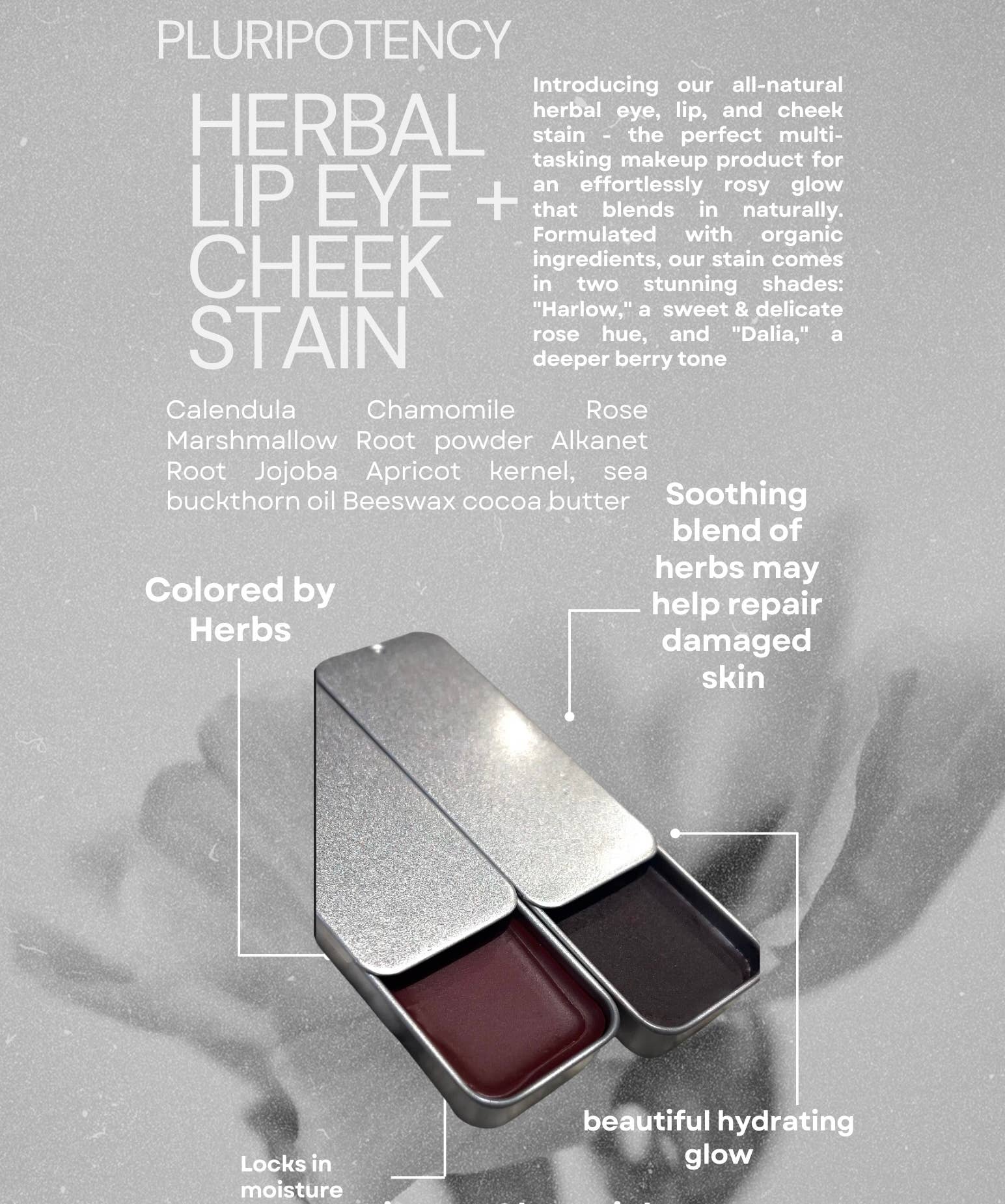 Pluripotency – wholesale Rouge – Örtläpp-, ögon- och kindfärg 🌹7