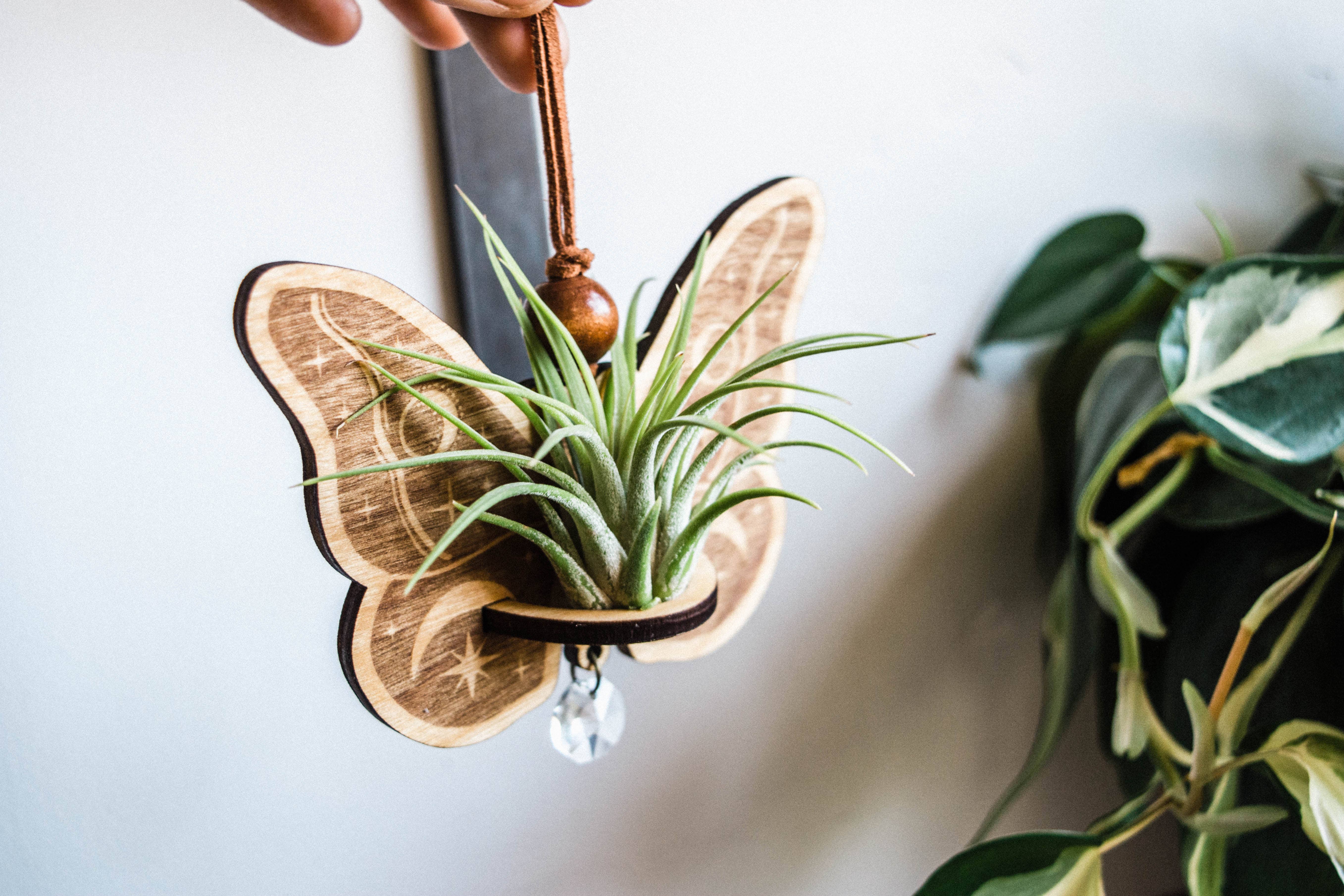 HEX Botanical - Wholesale Suncatcher - Celestial Moth Air Plant Hanger Suncatcher Crystal Prism 8