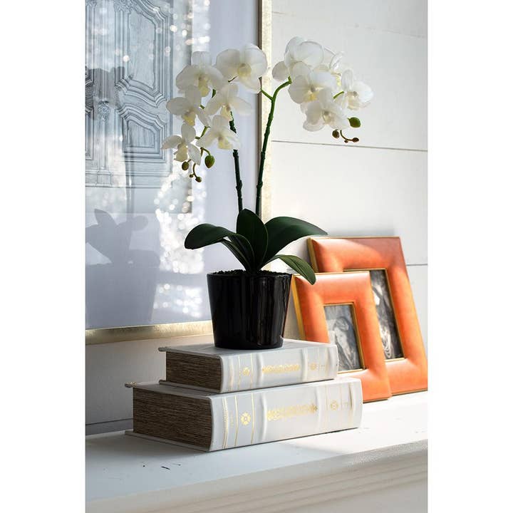A&B Home Group Inc. - Wholesale Decorative Box - S/2 Book Boxes - White4