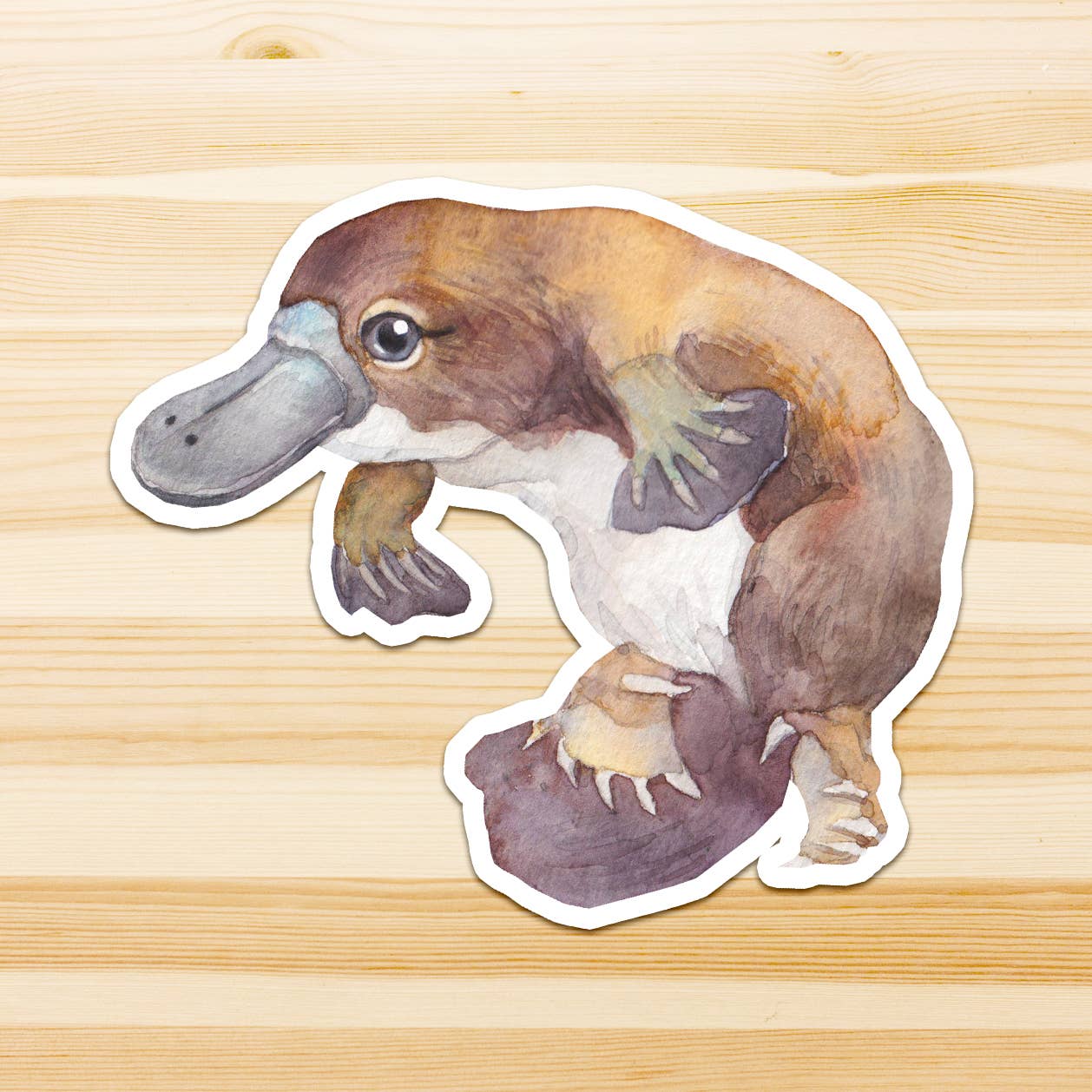 Watercolour By Cat - Wholesale Sticker - Large Australian Animal Vinyl Sticker21