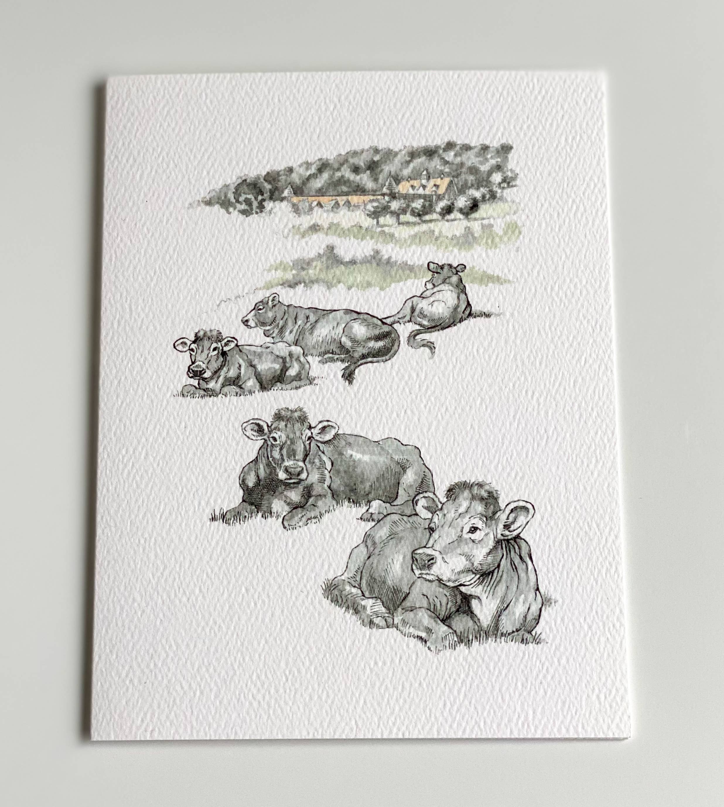 REMOVED BRAND - Wholesale Friendship Card - The Pasture - Friendship Card2